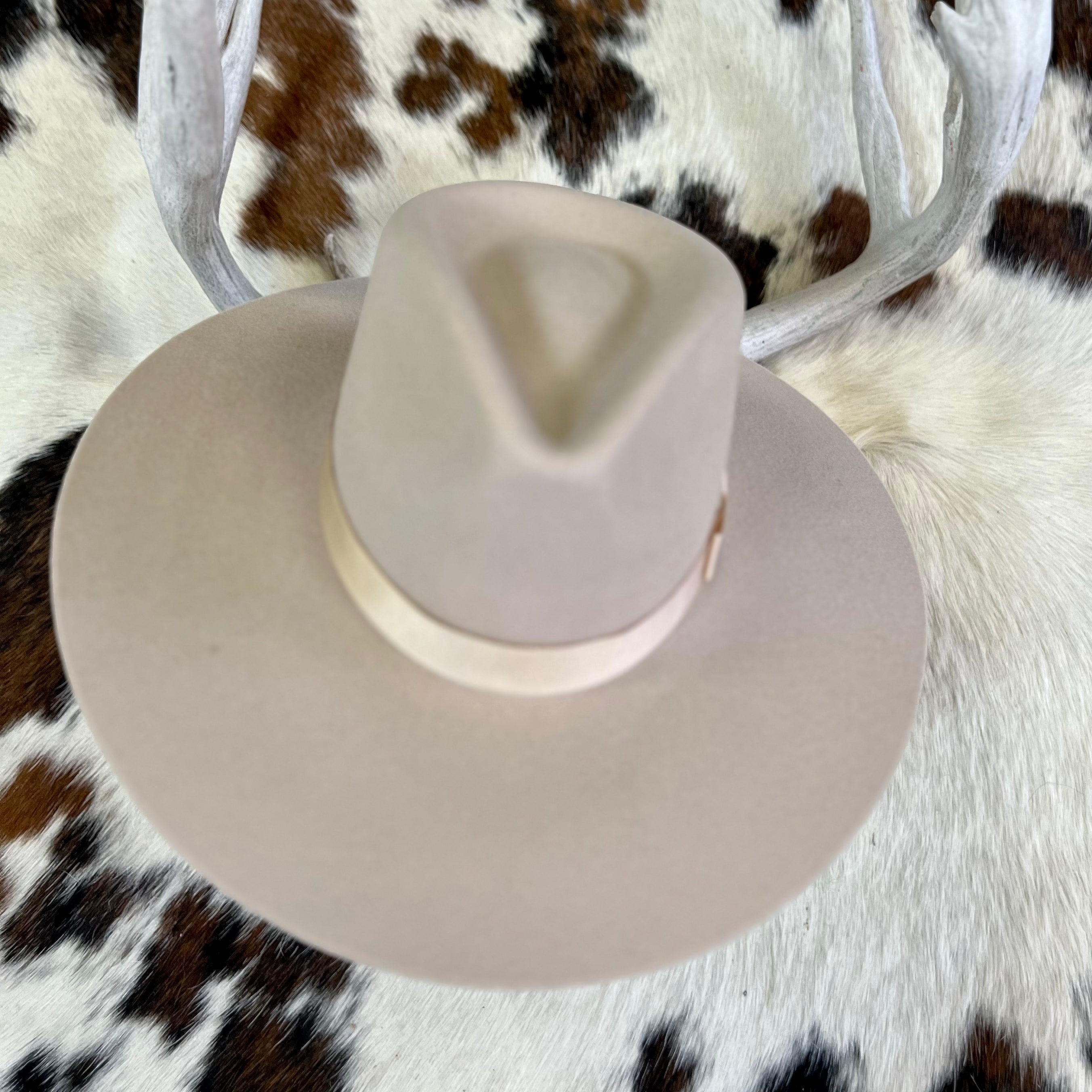 Silver Belly Tip Your Hat