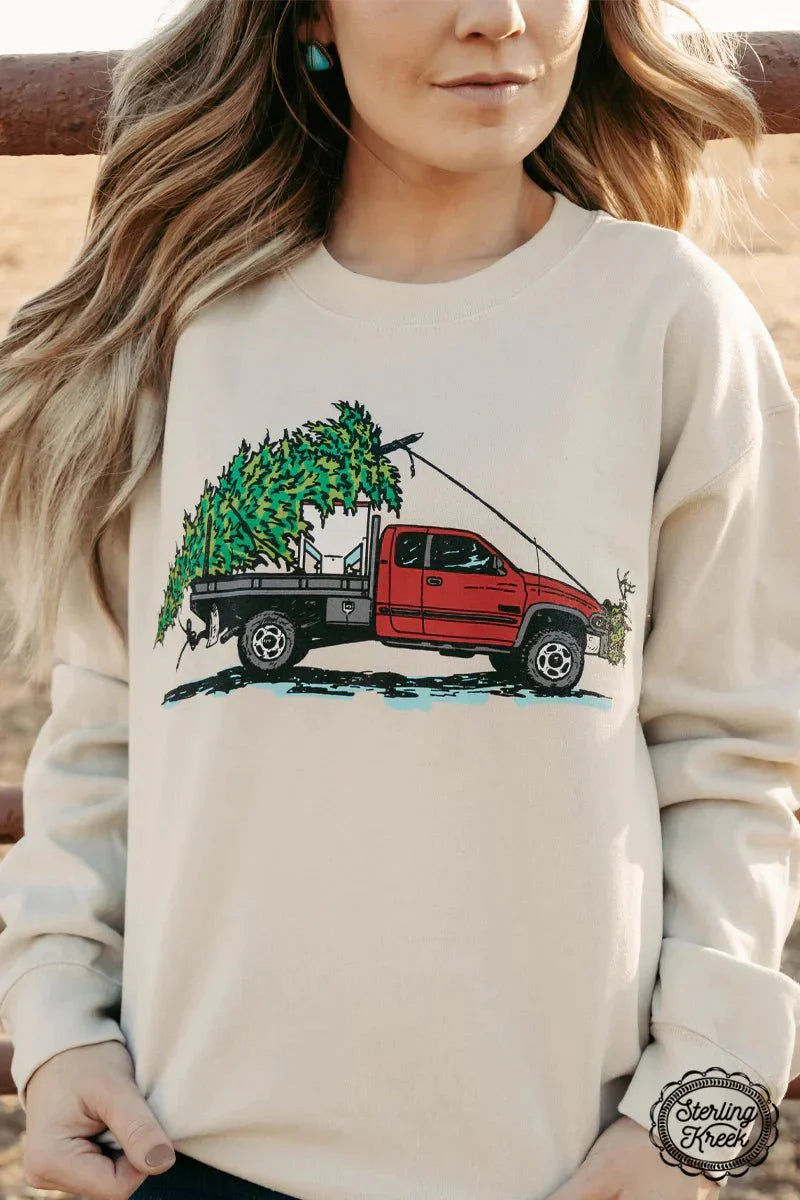 PLUS Cake Wagon Christmas Sweater*